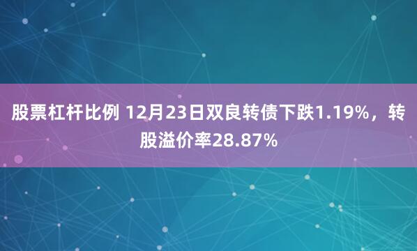 股票杠杆比例 12月23日双良转债下跌1.19%，转股溢价率28.87%