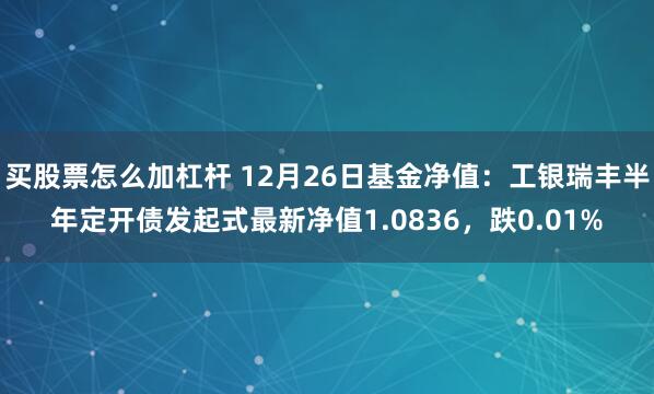 买股票怎么加杠杆 12月26日基金净值：工银瑞丰半年定开债发起式最新净值1.0836，跌0.01%