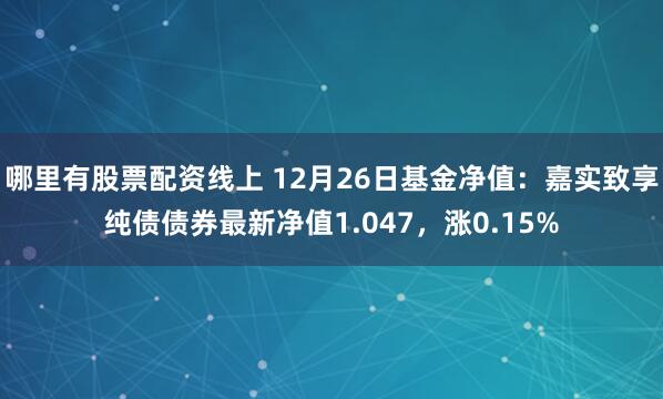 哪里有股票配资线上 12月26日基金净值：嘉实致享纯债债券最新净值1.047，涨0.15%