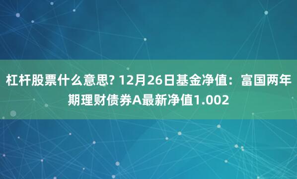 杠杆股票什么意思? 12月26日基金净值：富国两年期理财债券A最新净值1.002