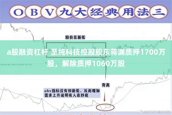 a股融资杠杆 至纯科技控股股东蒋渊质押1700万股，解除质押1060万股