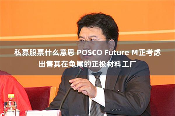 私募股票什么意思 POSCO Future M正考虑出售其在龟尾的正极材料工厂