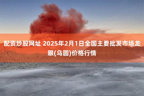 配资炒股网址 2025年2月1日全国主要批发市场龙眼(乌圆)价格行情