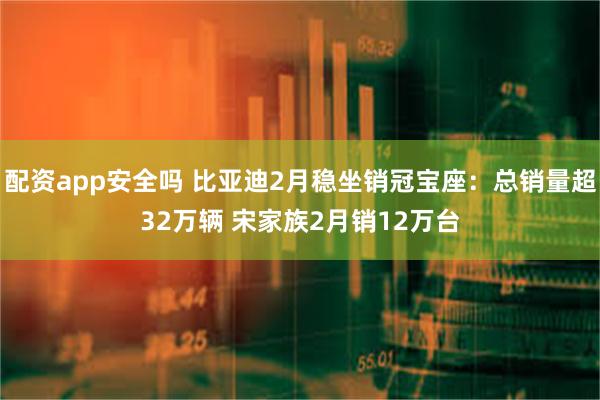 配资app安全吗 比亚迪2月稳坐销冠宝座：总销量超32万辆 宋家族2月销12万台